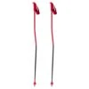 Atomic Atomic Redster GS Red Ski Poles - Red/Black -RR Ski Race Shop atomic redster gs red ski poles red black p19063 30218 image