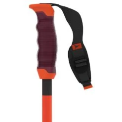 Atomic Atomic Redster RS SL SQS Race Ski Pole - Red/Carbon -RR Ski Race Shop atomic redster rs sl sqs race ski pole red carbon p23414 33399 image