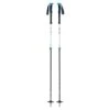 Black Diamond Black Diamond Expedition 2 Pro Touring Ski Pole - Black/White -RR Ski Race Shop black diamond expedition 2 pro touring ski pole black white p20914 29485 image