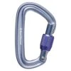 Black Diamond Black Diamond Liteforge Screwgate Carabiner - Gray -RR Ski Race Shop black diamond liteforge screwgate carabiner gray p24001 36270 image