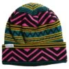 Coal Coal The Weston Beanie - Teal