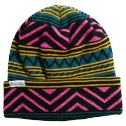 Coal Coal The Weston Beanie - Teal