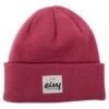 Eivy Eivy Watcher Beanie - Raspberry -RR Ski Race Shop eivy watcher beanie raspberry p21058 29988 image