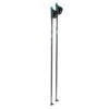 Komperdell Komperdell Nordic CX-100 Sport Pole - Blue 1 Komperdell Komperdell Nordic CX-100 Sport Pole - Blue -RR Ski Race Shop komperdell nordic cx 100 sport pole blue p20793 29052 image