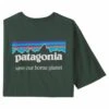 Patagonia Patagonia P-6 Mission Organic T Shirt - Pinyon Green -RR Ski Race Shop patagonia p 6 mission organic t shirt pinyon green p23292 33060 image