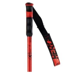Rossignol Rossignol Hero SL Pole - Black -RR Ski Race Shop rossignol hero sl pole black p23851 36484 image