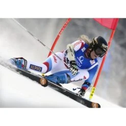 SPM World Cup Gate Gold Brush Grip 30mm With Brush Grip Base - Red, Blue -RR Ski Race Shop spm world cup gate gold brush grip 30mm with brush grip base red blue p7612 7205 image