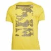 The North Face The North Face Foundation Graphic Short Sleeve T-Shirt - Mineral Gold
