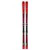 Volkl Volkl Racetiger R WC 30m GS Race Ski 2020 -RR Ski Race Shop volkl racetiger r wc 30m gs race ski 2020 p15323 20182 image